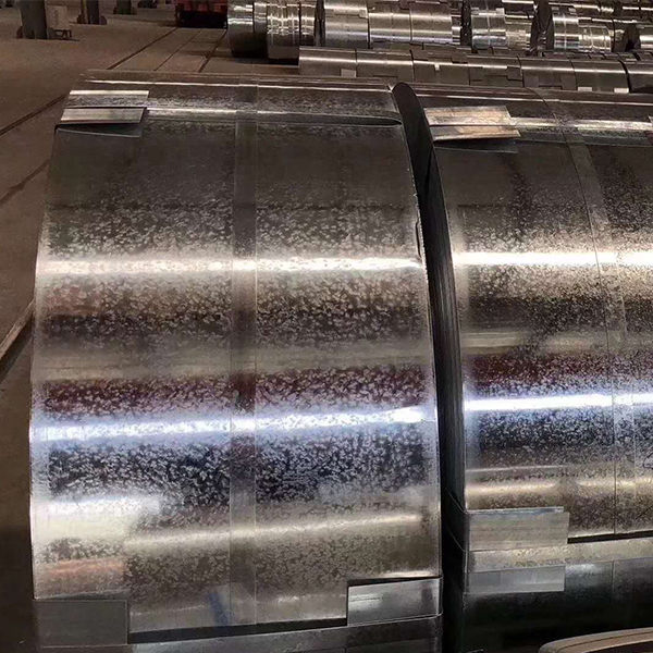 1651138443199062.jpg
