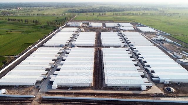 Muyuan Breeding Project